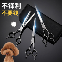 Pet Beauty Scissors Dog Hair Cut Special Suit Dog Hair Teddy Bend Cut Tooth Cut Haircut Hairdresser Fur Tool