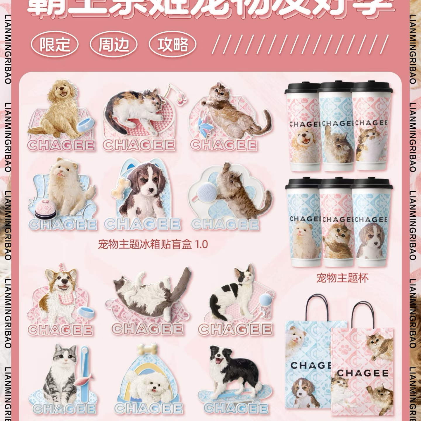 【正品代购】霸王茶姬8.17宠物友好季宠物主题冰箱贴盲盒周边礼物 - 图2