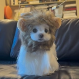 Милая шапка, мультяшный шлем, аксессуар для волос