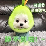 Кошка Элизабет Круг Круг собачья кошачья круги круги квадрат облизы