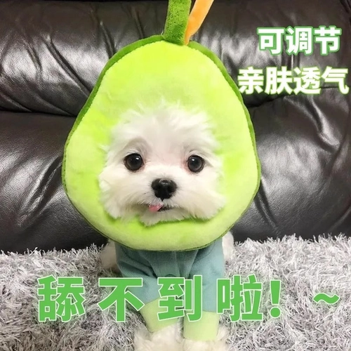 Кошка Элизабет Круг Круг собачья кошачья круги круги квадрат облизы