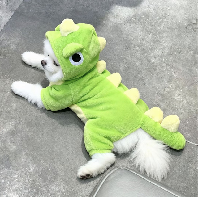 Dog Clothes Cute Flannel Dinosaur Transformation Suit