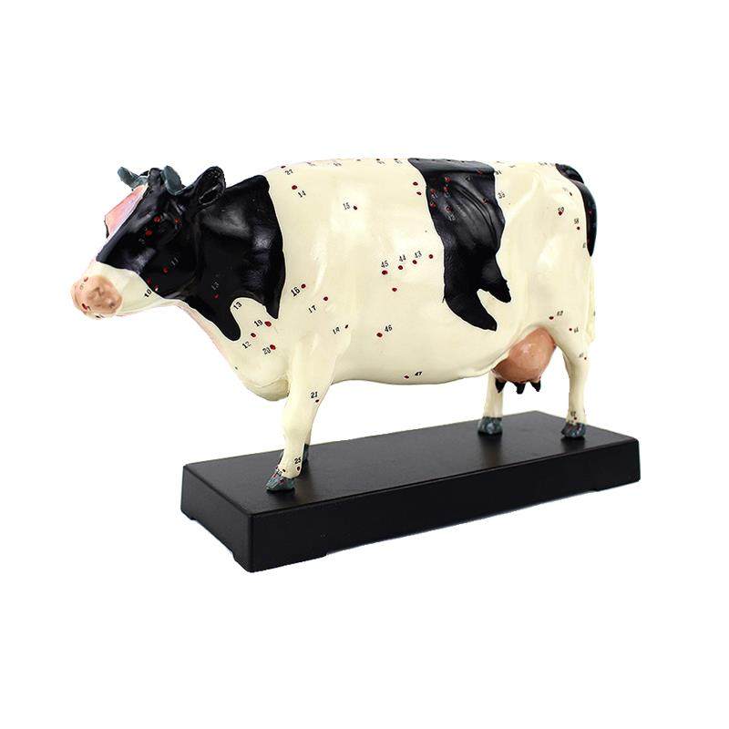 ENOVO颐诺牛针灸穴位模型物解剖模型宠物模型生物畜牧教学针灸,淘宝优惠券,粉丝福利购,淘宝优惠卷