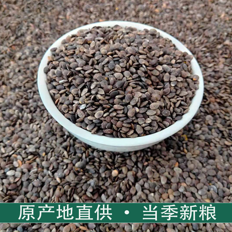 广西浆子纯籽网红籽零食百香果图片_1