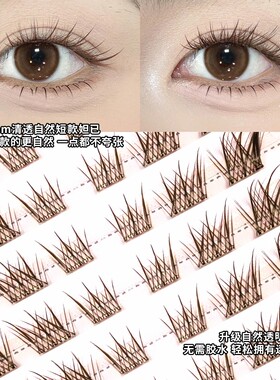 安陌棕色短款苏妲己假睫