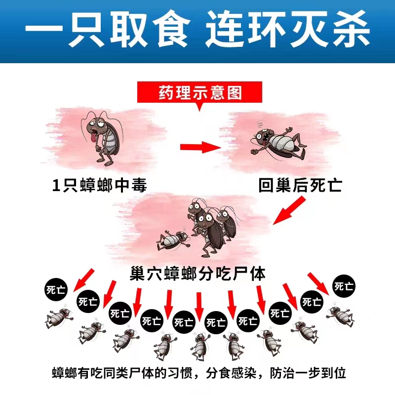 雳达蟑螂药强效家用室内厨房强力杀除蟑螂全窝端大小克星粉剂 - 图2