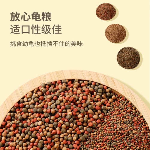 Кратковая маленькая черепаха пища бразильская черепаха с открытой кормовой коркодил черепах общая пищевая добавка кальция с высоким содержанием белковой черепахи закуски