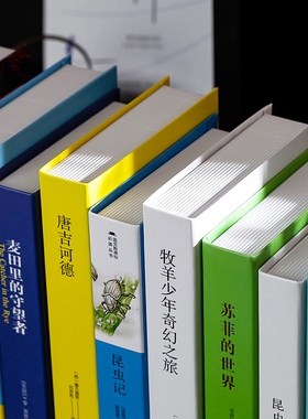 吃米现代文艺装饰书书房摆件道具