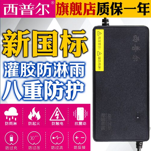 西普尔充电器2024新国标48v12ah铅酸电瓶48v20ah带协议2+2插头D头 - 图1