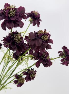 松虫草风车草仿真花单枝