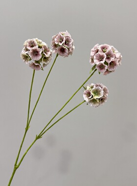 仿真园艺干花单支风车花假花家居装饰花材道具婚庆摄影插花绿色