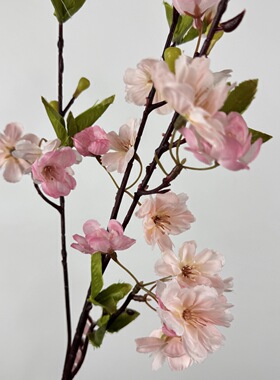 仿真樱花日本美人指假花枝装饰园林园艺插花造景布景摄影道具