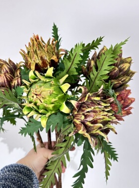 高品质仿真花热带多肉凤梨头南非洋蓟朝鲜帝王花花材插花道具花艺