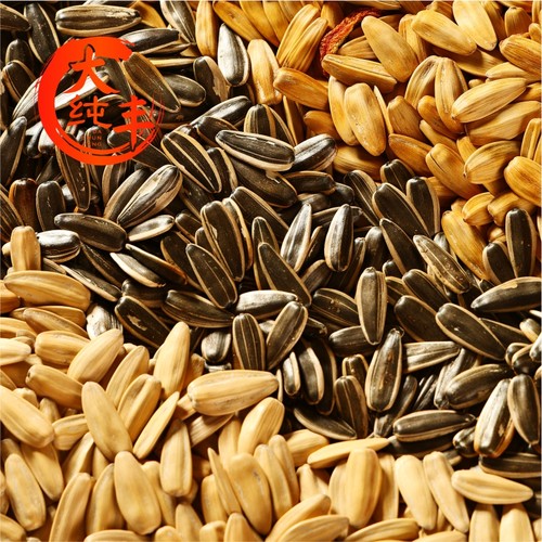 大纯丰瓜子葵瓜子古法原味陈皮打手瓜子内蒙古葵花籽炒货新货零食 - 图2