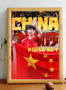 国乒骄傲孙颖莎夺冠留影应援周边摆台相框立牌同学礼物宿舍摆台