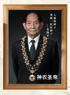 袁隆平人物相框摆台摆件装饰画