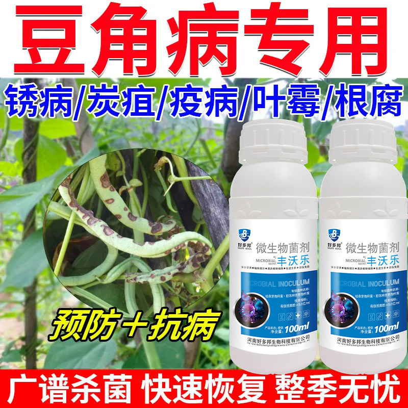 豆角病全治豆角专用杀菌剂豆角叶子发黄卷叶病锈病炭疽病叶斑病药