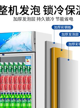 商用立式双开门冷藏展示柜
