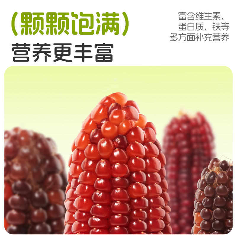 布卡星仓鼠零食玉米磨牙棒粮食金丝熊专用饲料花枝鼠解闷用品玩具,淘宝优惠券,粉丝福利购,淘宝优惠卷