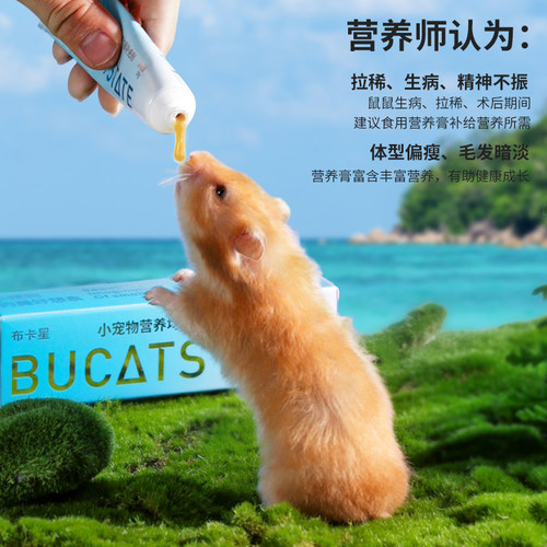仓鼠营养膏小宠物专用饲料零食荷兰猪兔子用品金丝熊调理肠胃美毛 - 图3
