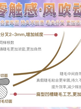 风吹动焦糖色单根睫毛