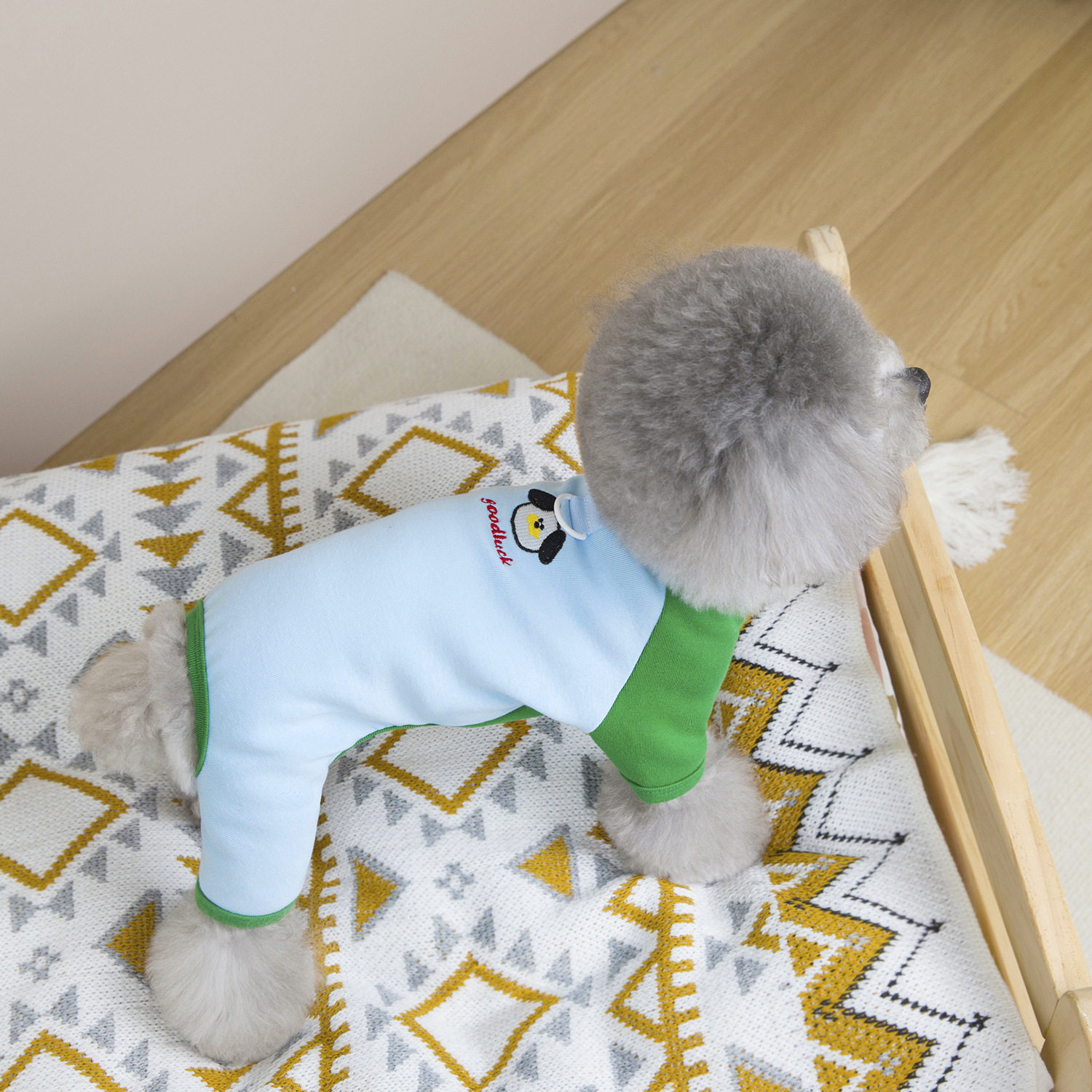 宠物用品宠物服装狗猫衣服小型犬衣服拼色四腿家居服,淘宝优惠券,粉丝福利购,淘宝优惠卷