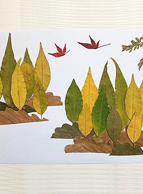 真树叶画手工粘贴画材料包中秋节天植物幼儿园儿童小学生干花标本