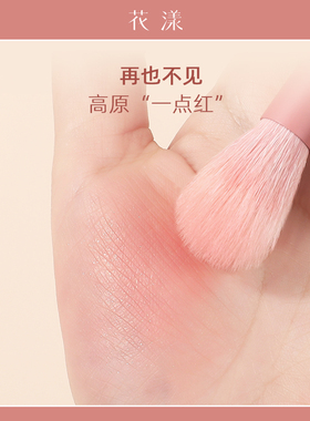 花漾焦红5支化妆刷实用组合