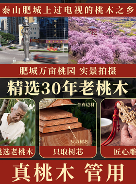 天然雷击桃木剑正宗睚眦剑挂件平安随身吊坠儿童婴儿木雕卧室客厅