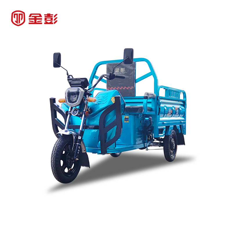 金彭金戈1.3米电动三轮车电车电瓶车载货拉货载重王家用摆摊农用