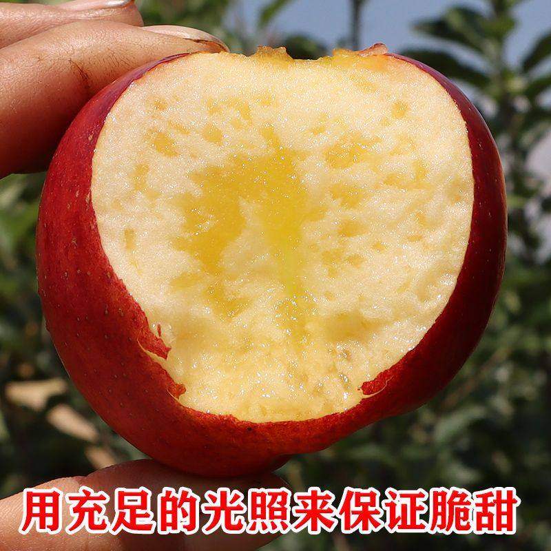 2025云南昭通正宗野生丑苹果冰糖心新鲜孕妇水果高原红露苹果整箱,淘宝优惠券,粉丝福利购,淘宝优惠卷