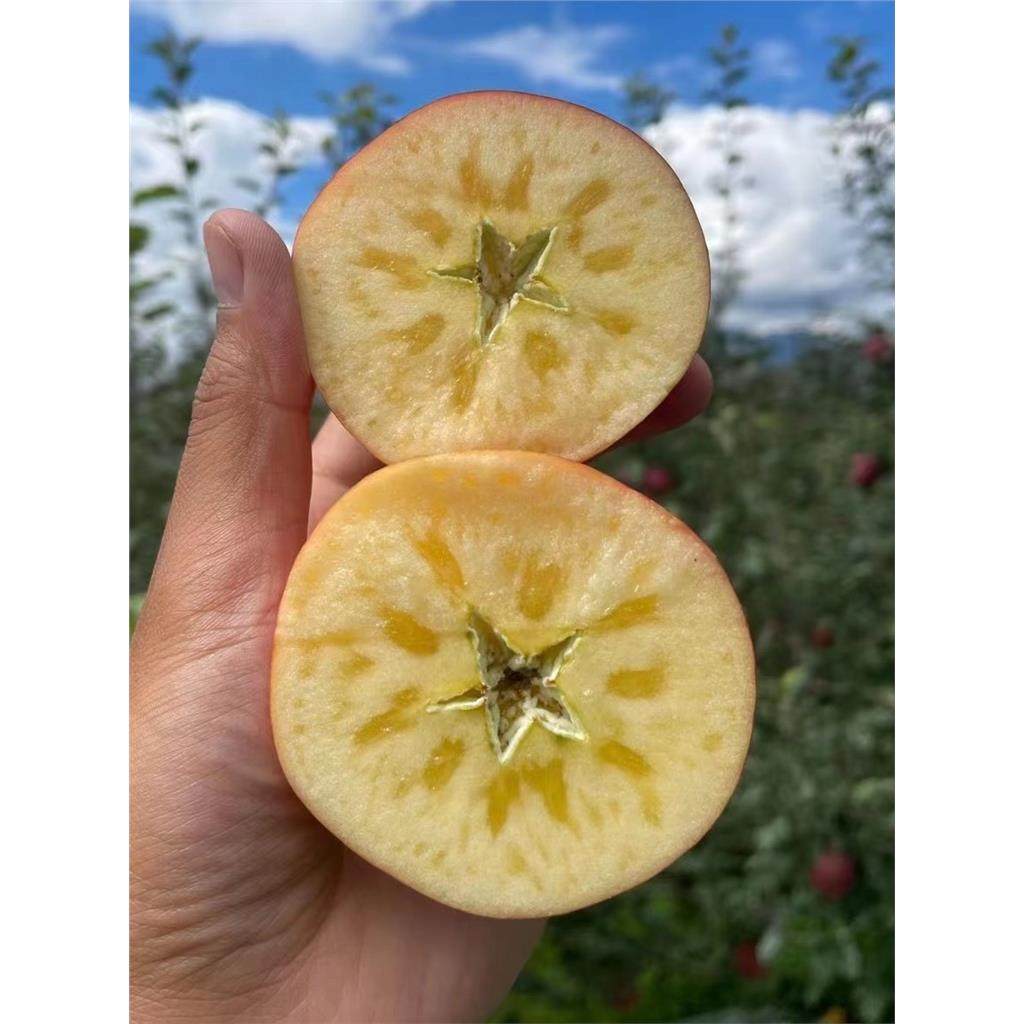 正宗冰糖心丑苹果现摘云南昭通新鲜水果红富士野苹果绍通红露当季,淘宝优惠券,粉丝福利购,淘宝优惠卷