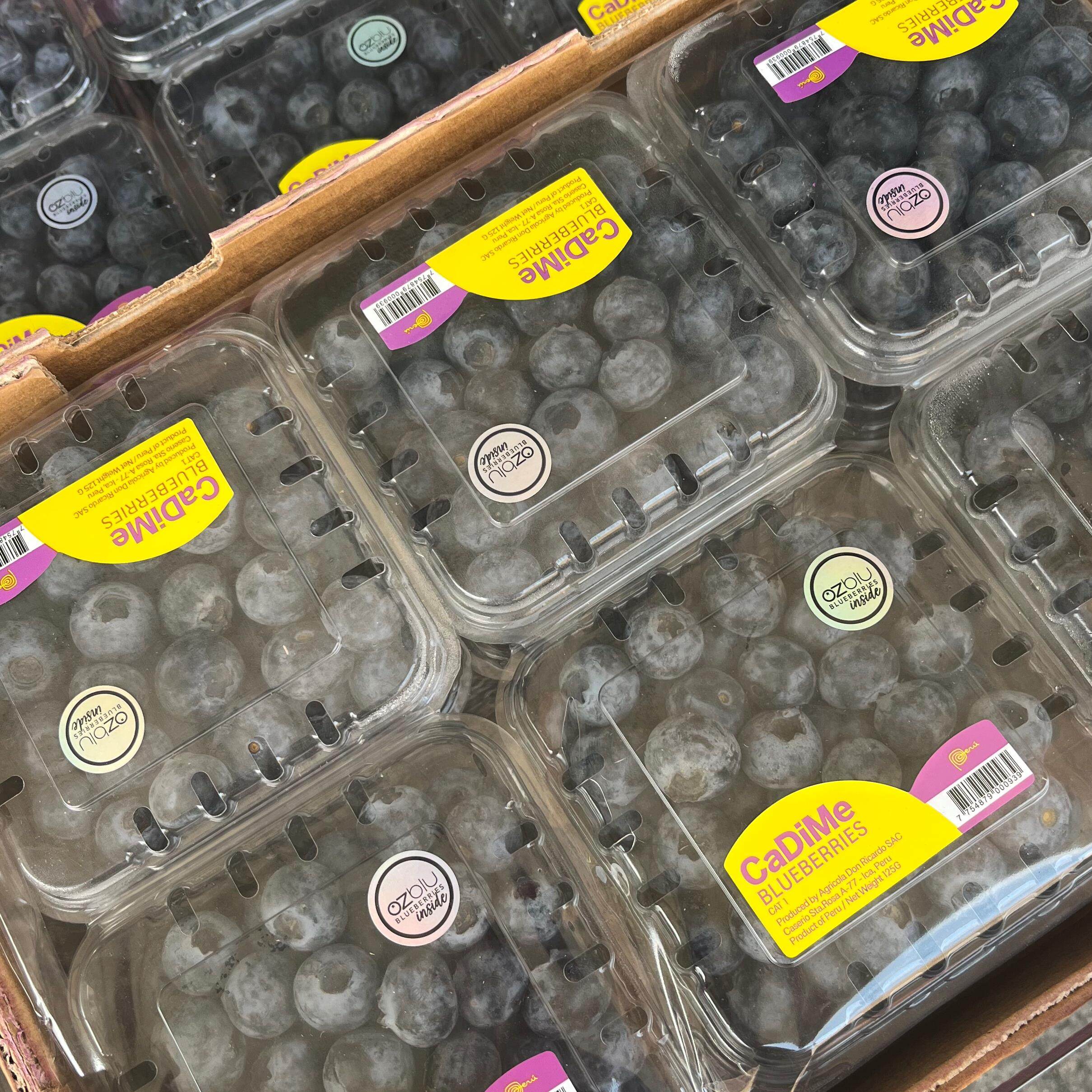 云南花香25号整箱怡颗梅蓝莓新鲜水果当季大颗粒孕妇鲜果包邮品牌,淘宝优惠券,粉丝福利购,淘宝优惠卷