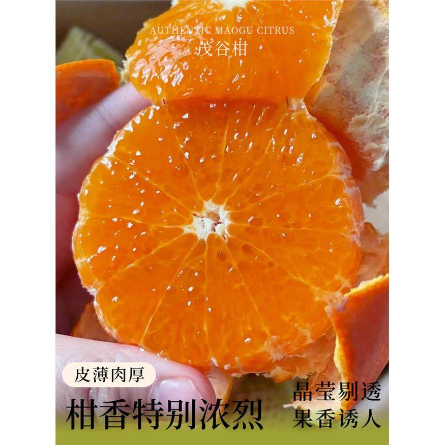 广西武鸣茂谷柑脏脏柑10斤新鲜水果应当季整箱沃橘子石灰柑桔子,淘宝优惠券,粉丝福利购,淘宝优惠卷