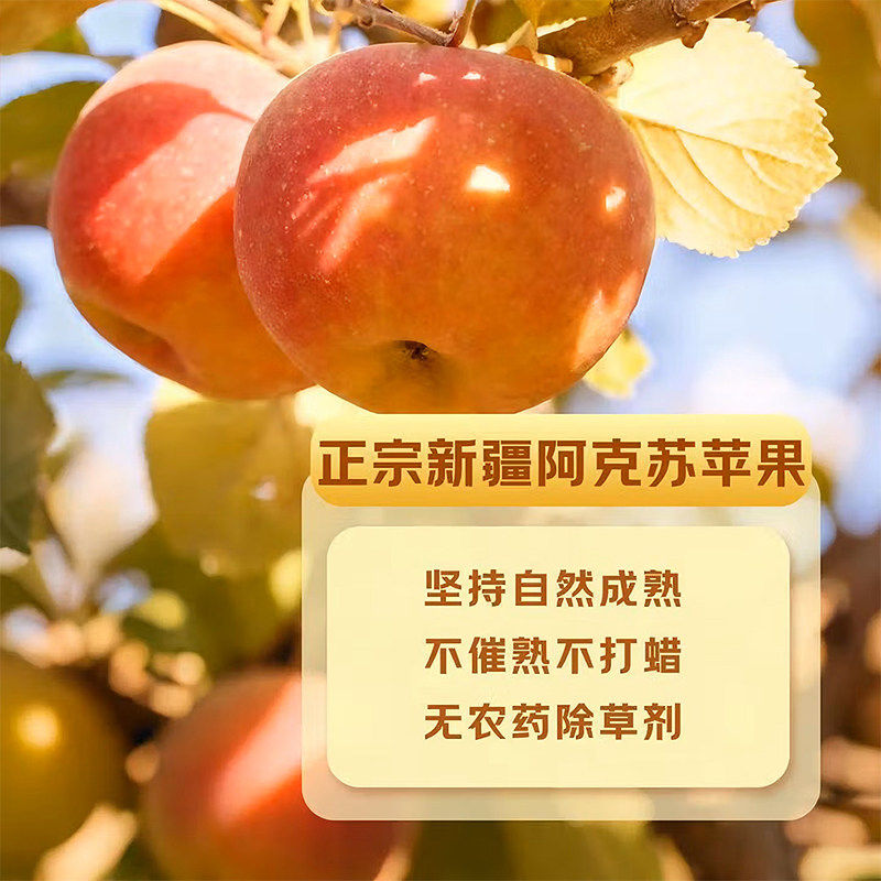 正宗阿克苏冰糖心苹果2025新疆新鲜水果红富士丑苹果正品顺丰包邮,淘宝优惠券,粉丝福利购,淘宝优惠卷