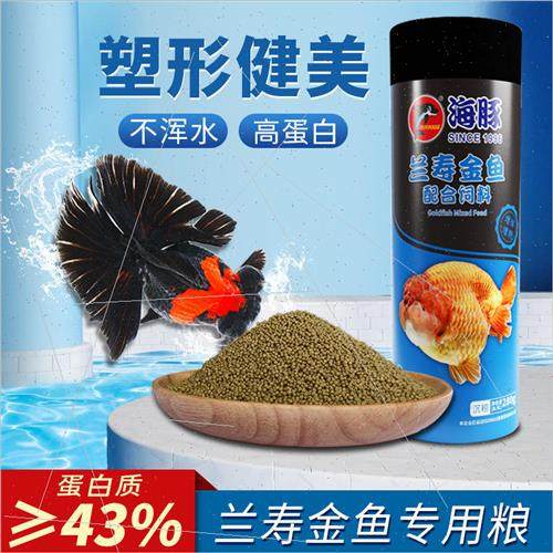 Dolphin Orchid fe Goldfish Matching Feed ons Head Starter Sp - 图1