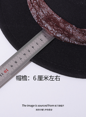 国风平顶毛呢礼帽女黑色复古爵士帽法式轻奢百搭平沿气质平顶帽男