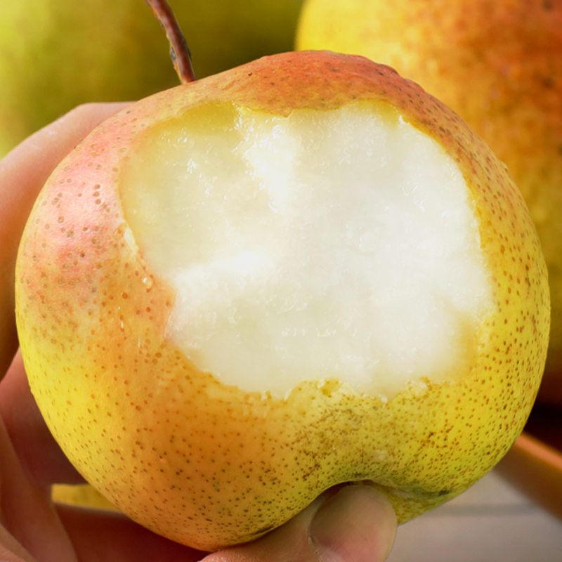 正宗延边苹果梨东北特产精品新鲜水果延边霜后苹果梨梨脆甜梨整箱 - 图0