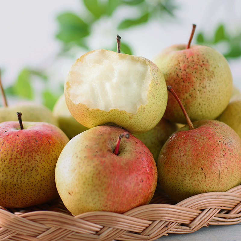 正宗延边苹果梨东北特产精品新鲜水果延边霜后苹果梨梨脆甜梨整箱 - 图1
