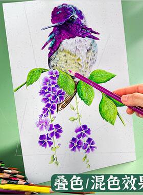 Color pencil special lead drawing paper 8K thickened 250g ch