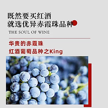 限时送1箱！澳洲进口袋鼠赤霞珠葡萄酒13瓶[600元优惠券]-寻折猪