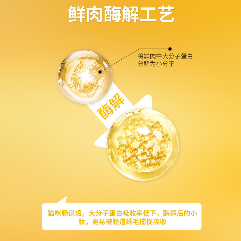 派得猫粮鲜肉2.5kg公斤英美短蓝猫布偶成幼猫食通用型猫主粮5斤装,淘宝优惠券,粉丝福利购,淘宝优惠卷