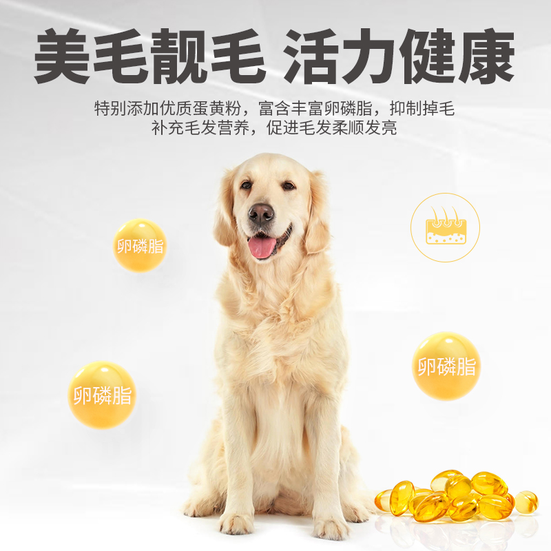 派得狗粮小型犬泰迪博美比熊柯基通用型粮全价中型成犬幼犬粮4斤