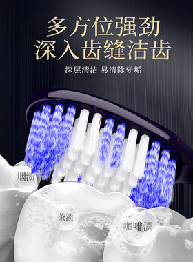 单支装牙刷OralGos护齿清洁成人