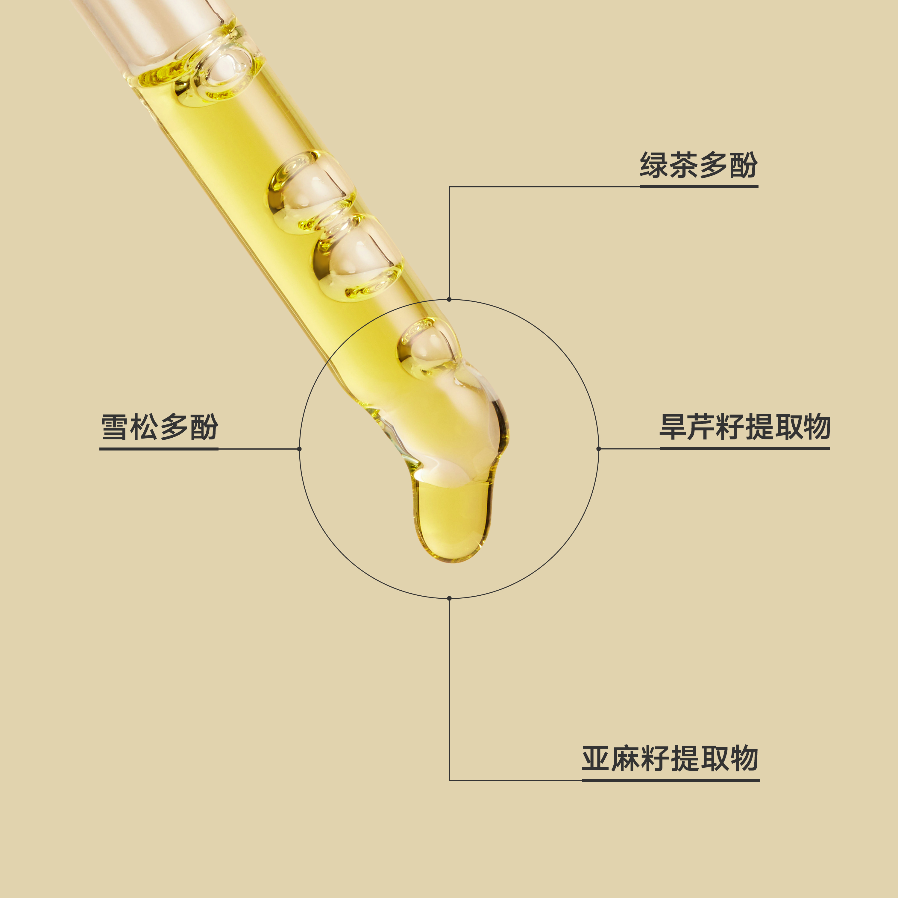 [自播间专享]雏菊的天空桂影慕兰紧致精华油30ml*2 - 图2