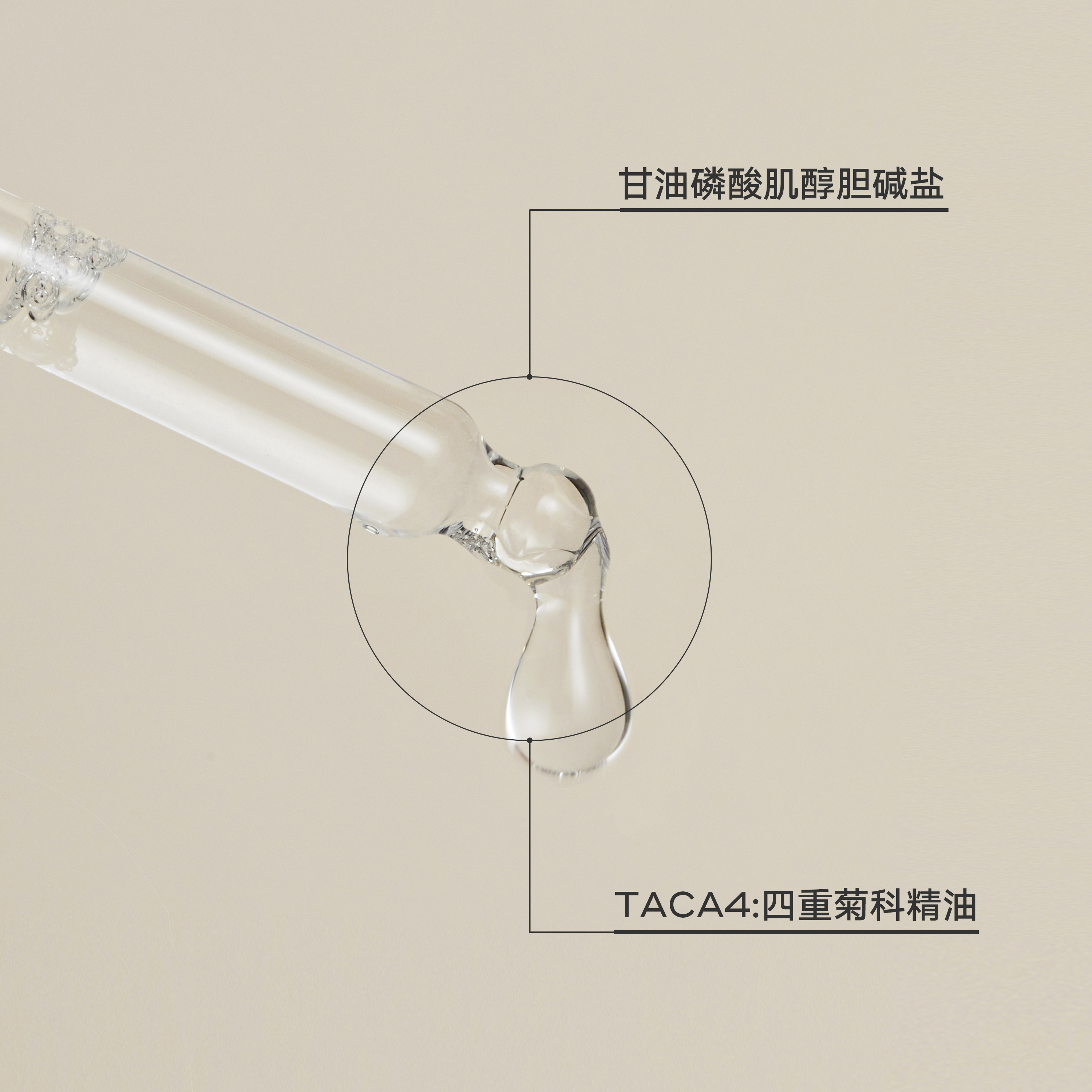 【会员专享】雏菊的天空翡冷翠菊科修护精露10ml 一个ID限一份 - 图2