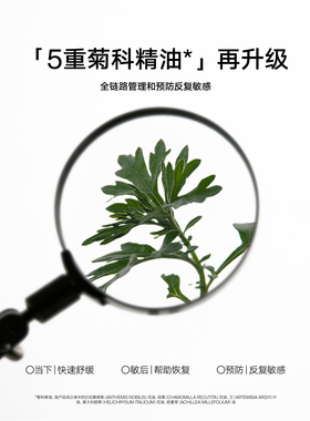 【全新升级2.0】雏菊的天空翡冷翠修护精华油菊科修护舒缓30ml*2