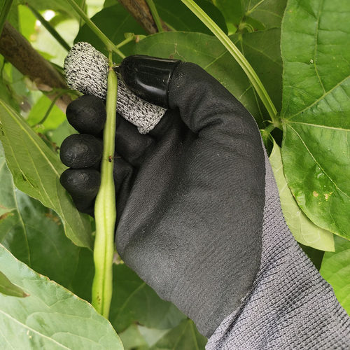 摘花椒专用神器不锈钢刀片防划伤桑叶采摘器护手手套拇指刀手指刀 - 图1