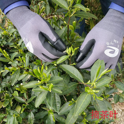 摘花椒专用神器不锈钢刀片防划伤桑叶采摘器护手手套拇指刀手指刀 - 图0