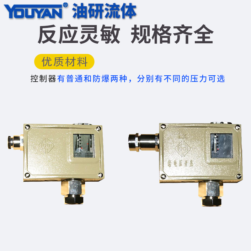 D504压力控制器D505/7D防爆7DK/7DZ切换差0816807不可调0846989 - 图1